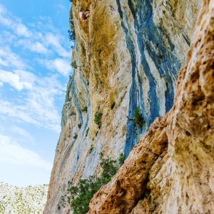 Auberges Gite de Venascle : photos des chambres