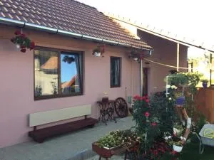 Casa rustica cu terasa - Valea Lungă