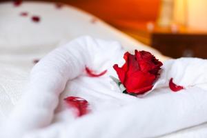 Centrum Green Hill Business & SPA