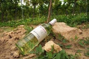 Ferienwohnung Weinkutscher