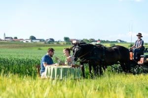 Ferienwohnung Weinkutscher