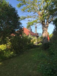 Maisons de vacances L atelier du Paysagiste : photos des chambres