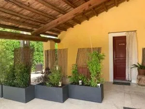 Gîte L'Olivier (Bastide Sainte Agnès) - Serres