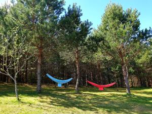 Miguičionių sodyba