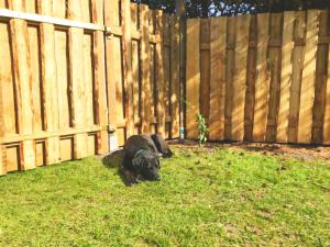 Wellness Chalet No10