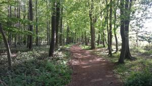 Wellness Chalet No10