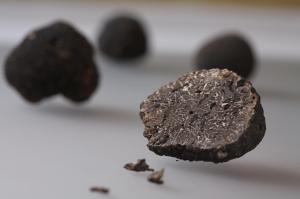 Les Berceaux photo 24