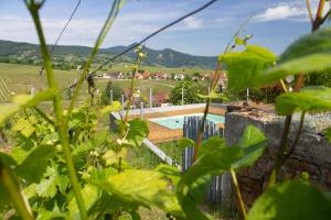 Maisons de vacances Le Zell : photos des chambres