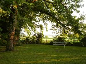 B&B / Chambres d'hotes Chateau de Vesset : photos des chambres