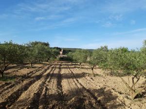 Maisons de vacances Gite 