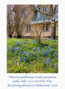 Rosma Mill Holiday House