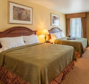 Queen Room with Two Queen Beds - Non-Smoking room in Natchez Grand Hotel On The River