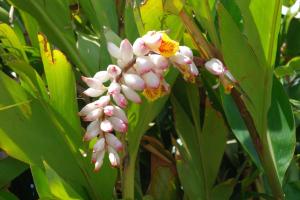 Aqua Marine Guest House