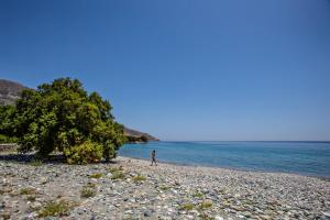 Unforgettable Tinos beach house Tinos Greece