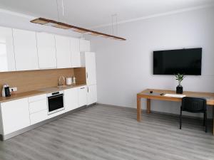 Palm apartment studio Riga
