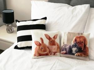 Metro Wilson Apartment