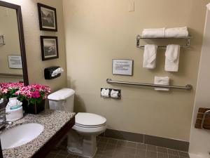 King Room - Accessible/Non-Smoking room in Comfort Inn South-Medford