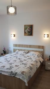 Apartament Karina