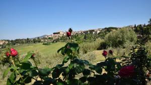 CASE&COLLINE Buonriposo