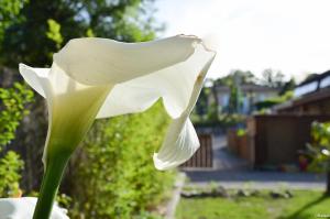 Maisons de vacances Eco logis le colibri : photos des chambres