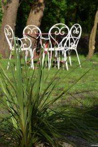 Maisons de vacances Eco logis le colibri : photos des chambres