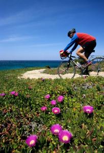 Lu' Hotel Carbonia img92