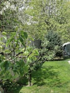 Casa File de Poveste