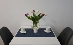 Apartament Staromiejski Zosia