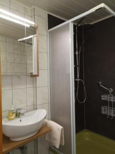 Double Room with Shower room in Pension Talblick Bad Grund