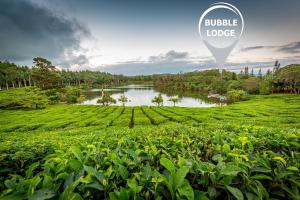Bubble Lodge Bois Chéri Plantation
