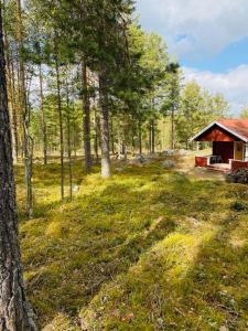 Cottage (4 Adults) room in Hotell Moskogen
