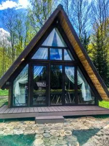 Tuvāk dabai - Višķi