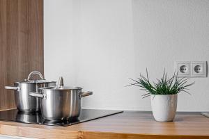 Apartment Dolomites Nest