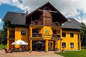 Pensjonat Olympia w Przesiece-Międzynarodowe Centrum Oddechu i Morsowania - 普热谢卡