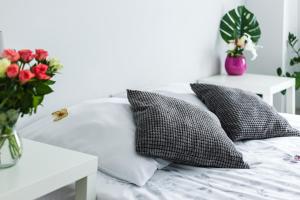 Apartament w centrum 2