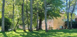 Les Hauts De Saulies photo 12