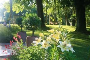Les Hauts De Saulies photo 21
