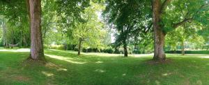 Les Hauts De Saulies photo 24