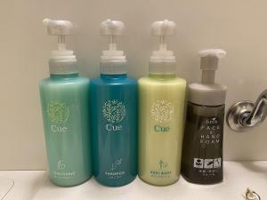 Hotel Route-Inn Ina Inter