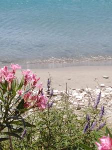 ''Sea front'' Rose's house Tinos Greece