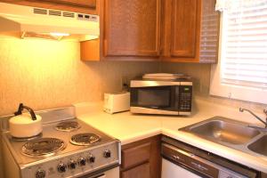 1208 - Gold Ski Suite- 300 SF Sleeps 4