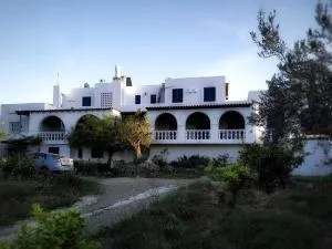 Olive branch2 - Moúlkia