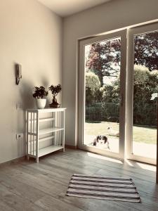 Apartment with Garden View room in Appartamento Grethel - Rebomaholidays