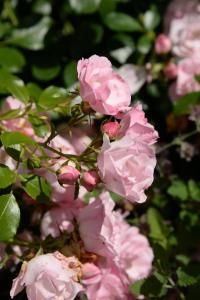 Le Gratin Mondain photo 6