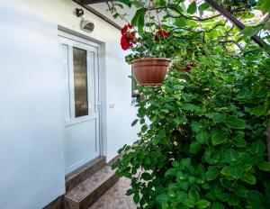 Apartments Lea Poreč