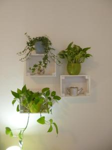 EcoBoutique house, self check-in - free car parking