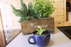 Igluhut Tiny House Bayerischer Wald