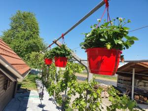 Charming tiny house "Pr Basc" in Ljubljana with cozy terrace and barbecue area