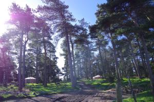 Penbedw Uchaf Estate - Rural retreats, tennis