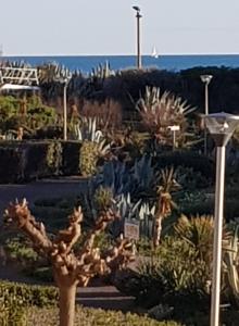 Studio Naturiste "LIBERTY" Héliopolis K 125